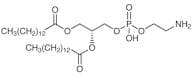 1,2-Dimyristoyl-sn-glycero-3-phosphoethanolamine