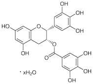 (-)-Epigallocatechin Gallate Hydrate