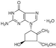Entecavir Monohydrate