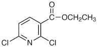 Ethyl 2,6-Dichloronicotinate