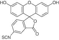 Fluorescein 5-Isothiocyanate (isomer I)