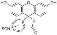 Fluorescein Isothiocyanate (mixture of 5- and 6- isomers)