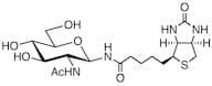 N-GlcNAc-Biotin