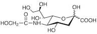 N-Glycolylneuraminic Acid