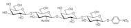 Galβ(1-4)GlcNAcβ(1-3)Galβ(1-4)Glc-β-pNP