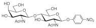 GalNAcβ(1-4)GlcNAc-β-pNP