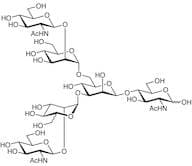 G0 Glycan (GN1 type)