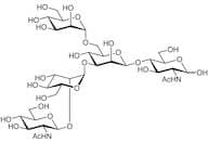 GlcNAcβ(1-2)Manα(1-3)[Manα(1-6)]Manβ(1-4)GlcNAc-OH
