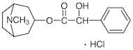 Homatropine Hydrochloride