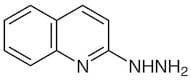 2-Hydrazinoquinoline