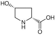 cis-4-Hydroxy-D-proline