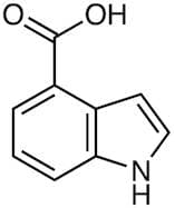 Indole-4-carboxylic Acid