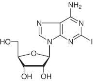 2-Iodoadenosine