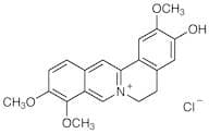 Jatrorrhizine Chloride