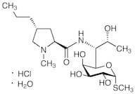 Lincomycin Hydrochloride Monohydrate