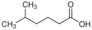 5-Methylhexanoic Acid