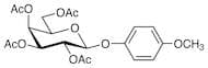 4-Methoxyphenyl 2,3,4,6-Tetra-O-acetyl-β-D-galactopyranoside