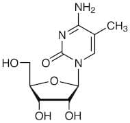 5-Methylcytidine