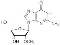 2'-O-Methylguanosine