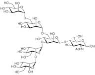 Manα(1-2)Manα(1-3)[Manα(1-6)Manα(1-6)]Manβ(1-4)GlcNAc