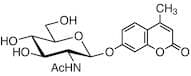 4-Methylumbelliferyl 2-Acetamido-2-deoxy-β-D-glucopyranoside