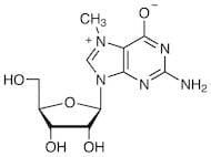 7-Methylguanosine