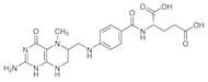 5-Methyltetrahydrofolic Acid