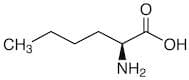 L-Norleucine