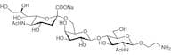 Neu5Acα(2-6)Galβ(1-4)GlcNAc-β-ethylamine