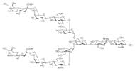 Neu5Acα(2-6) N-Glycan