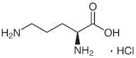 L-Ornithine Monohydrochloride