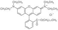 Octadecyl Rhodamine B Chloride