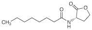 N-Octanoyl-L-homoserine Lactone