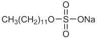 Sodium Dodecyl Sulfate [for Molecular Biology]
