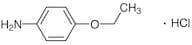 p-Phenetidine Hydrochloride