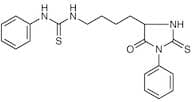 Phenylthiohydantoin-(Nε-phenylthiocarbamyl)-lysine
