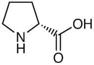 D-Proline