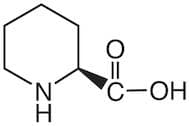 L-Pipecolic Acid