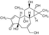 Phorbol