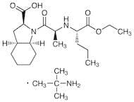 Perindopril Erbumine