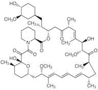 Rapamycin