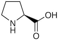 L-Proline (HPMC encapsulated)