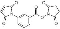 N-Succinimidyl 3-Maleimidobenzoate [Cross-linking Reagent]