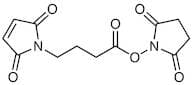 N-Succinimidyl 4-Maleimidobutyrate [Cross-linking Reagent]