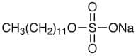 Sodium Dodecyl Sulfate [for Electrophoresis]