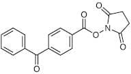 N-Succinimidyl 4-Benzoylbenzoate