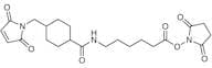 N-Succinimidyl 6-[[4-(N-Maleimidomethyl)cyclohexyl]carboxamido]hexanoate