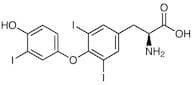 3,3',5-Triiodo-L-thyronine