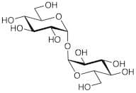 D-(+)-Trehalose Anhydrous