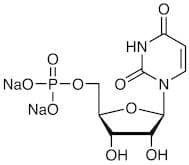 Uridine 5'-Monophosphate Disodium Salt